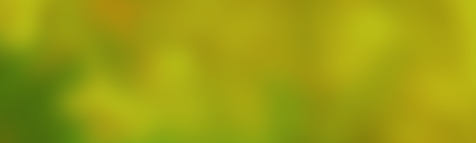 banner-lime