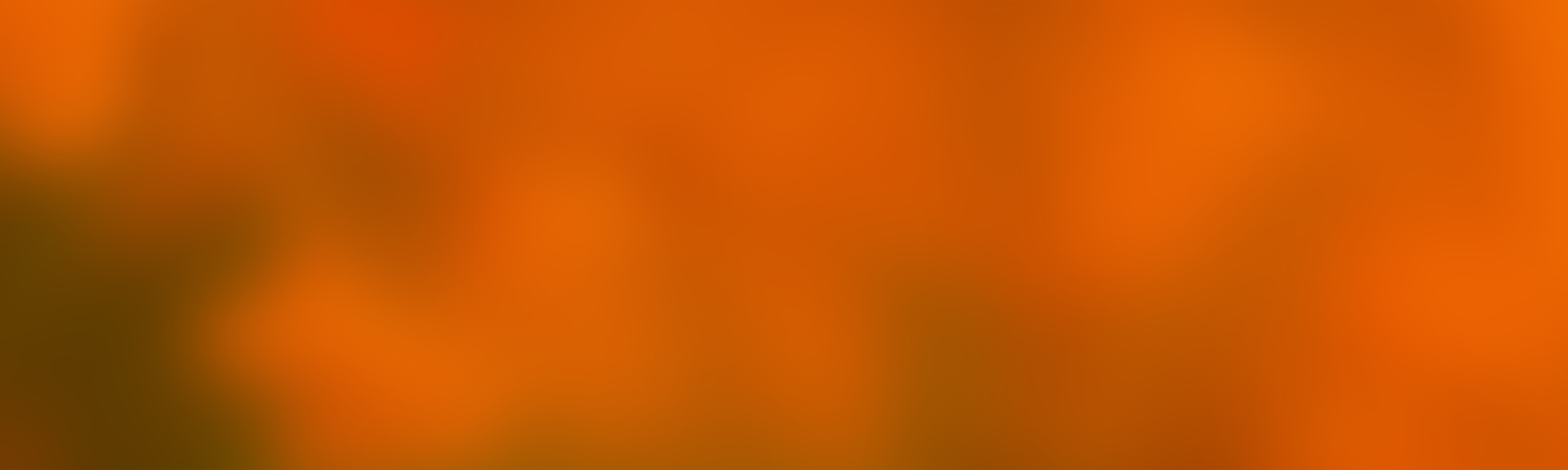 banner-orange