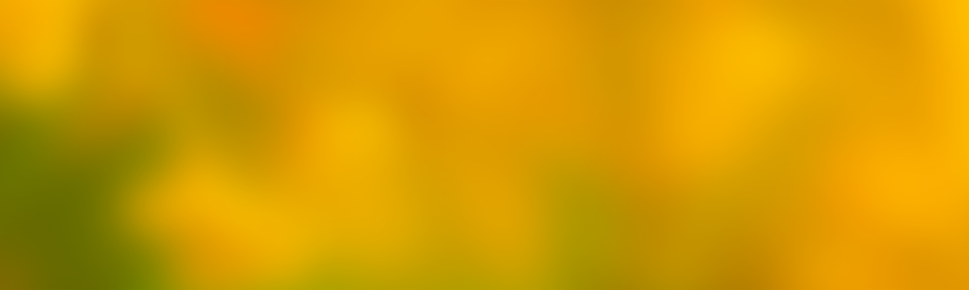 banner-yellow